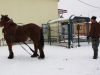 SILVESTROVSKÁ   ZABÍJAČKA