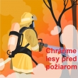 Ochrana lesov pred požiarmi