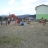 Fotogaléria