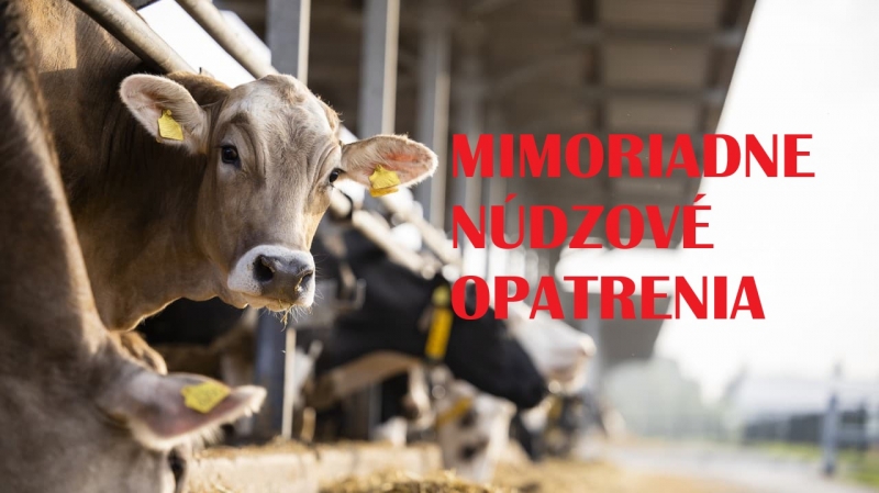202503241558480.slintacka
