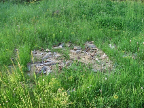 201906171304470.dscn3116