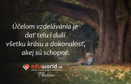 202003241319370.image-4