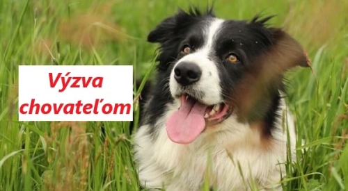 202502241335520.vyzva-chovatelom