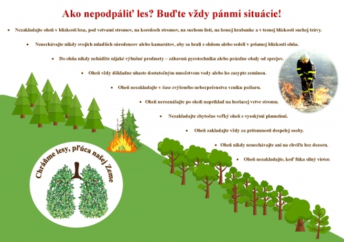 202503130904580.202103190917300-ako-nepodpalit-les