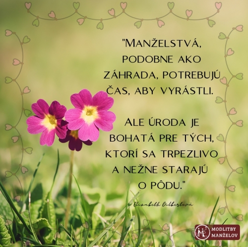 202602091012180.473570420-122162603084295409-2164051304534254165-n