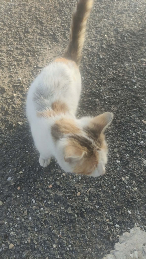 202604131528140.1066169e-17c8-4fb1-aba2-64a888270caf