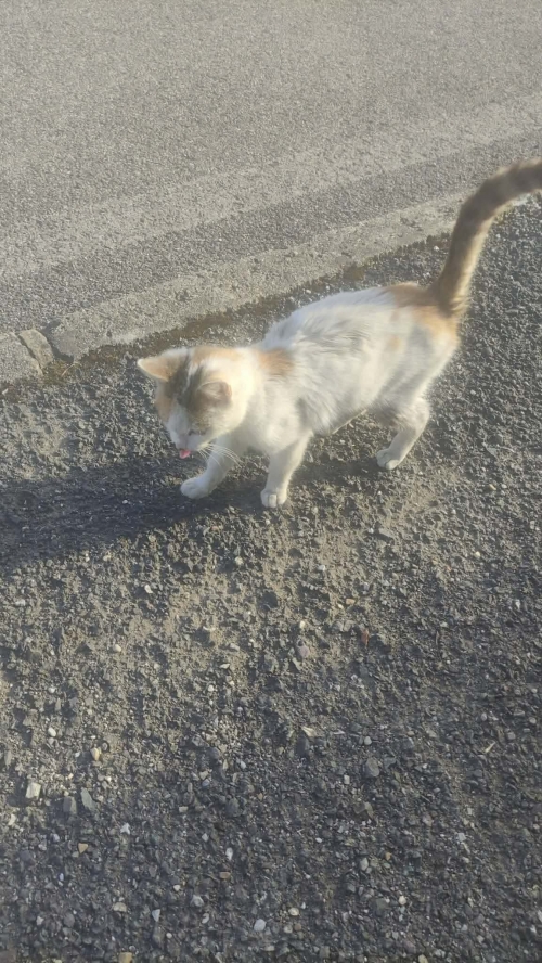 202604131528140.716d20c4-d080-4d52-be7e-e8d8f0f6a171