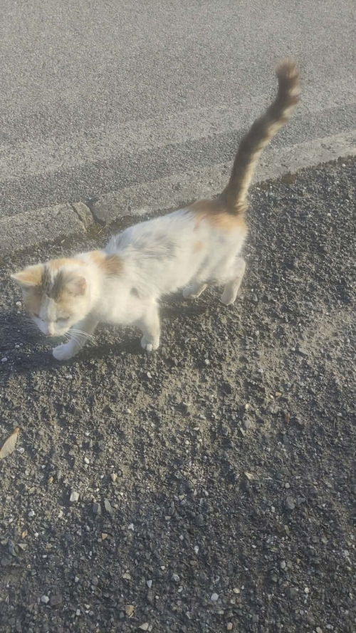 202604131528140.cfd9049f-ac24-4982-a54f-6bd4498cb95a