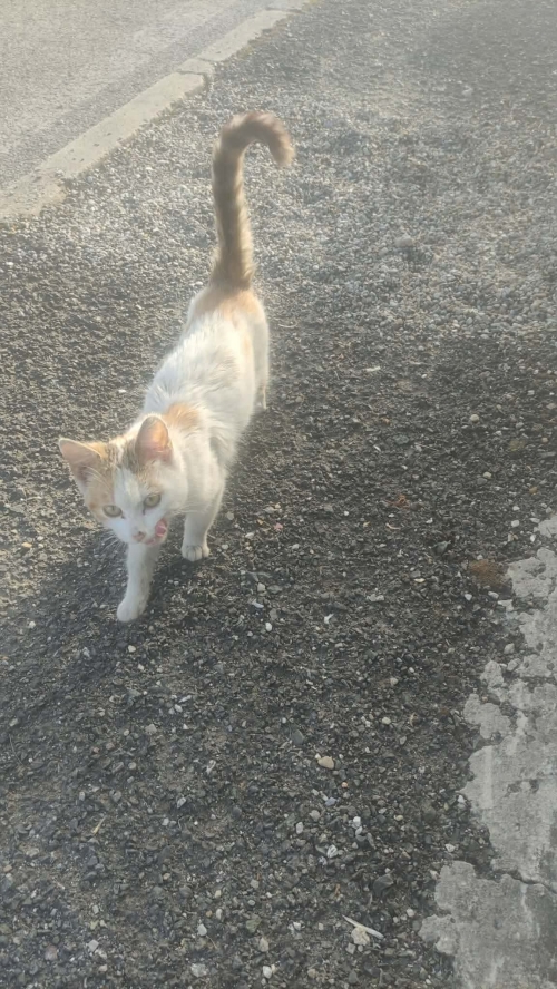 202604131528140.f5d688bc-2340-4843-a16b-c33523da36c6