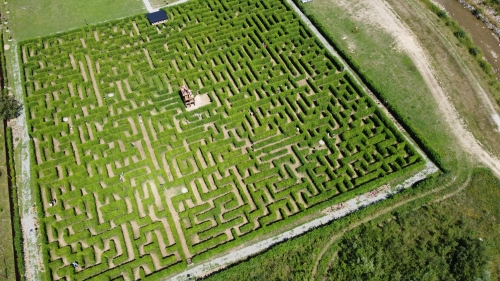 202604211145420.bludisko