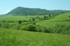 Fotografia: Protipovodňové aktivity