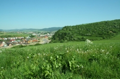 Fotografia: Protipovodňové aktivity