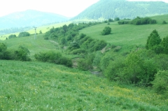 Fotografia: Protipovodňové aktivity