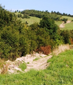 Fotografia: Protipovodňové aktivity