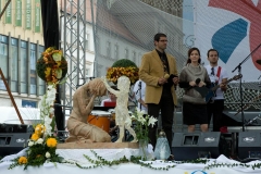 Fotografia: Pochod za život - 22.9.2013 Košice