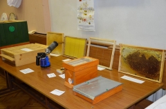 Fotografia: Medový perníček - do srdca chodníček - II. ročník 