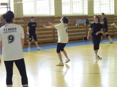 Fotografia: XI. ročník Volejbalového turnaja 22.3.2014
