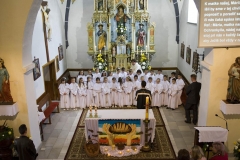 Fotografia: Prvé sväté prijímanie - 1. jún 2014