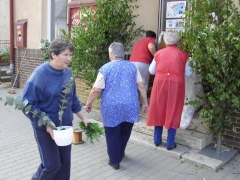 Fotografia: Božie telo 2014 a 2004