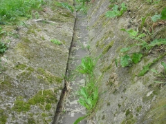 Fotografia: Dláždenie odvodňovacieho rigola