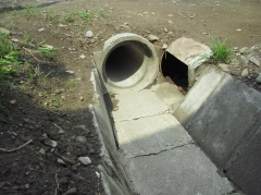 Fotografia: Dláždenie odvodňovacieho rigola