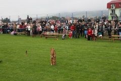 Fotografia: Vďakyvzdanie za dary zeme 21.9.2014
