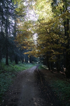 Fotografia: Kotník - Mgr. Mária Folvarčíková