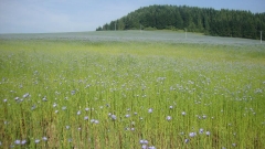 Fotografia: Sihla v lete - Štefan Konkoľ