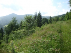 Fotografia: Sihla v lete - Štefan Konkoľ