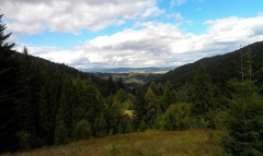 Fotografia: Predné Hory cez Horbek, Medzi buky - Štefan Konkoľ