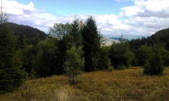 Fotografia: Predné Hory cez Horbek, Medzi buky - Štefan Konkoľ