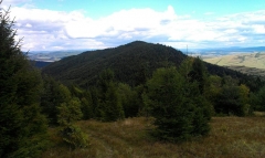 Fotografia: Predné Hory cez Horbek, Medzi buky - Štefan Konkoľ