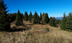 Fotografia: Predné Hory cez Horbek, Medzi buky - Štefan Konkoľ