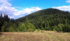 Fotografia: Predné Hory cez Horbek, Medzi buky - Štefan Konkoľ