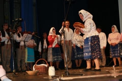 Fotografia: Nositelia tradícií-súťažná prehliadka SĽ-24.5.2015