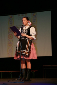 Fotografia: Nositelia tradícií-súťažná prehliadka SĽ-24.5.2015