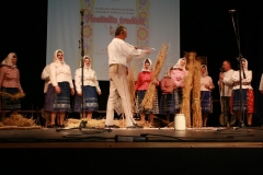 Fotografia: Nositelia tradícií-súťažná prehliadka SĽ-24.5.2015