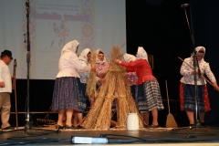Fotografia: Nositelia tradícií-súťažná prehliadka SĽ-24.5.2015