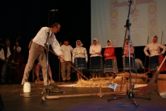 Fotografia: Nositelia tradícií-súťažná prehliadka SĽ-24.5.2015