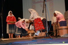 Fotografia: Nositelia tradícií-súťažná prehliadka SĽ-24.5.2015