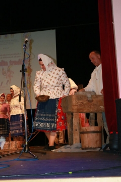 Fotografia: Nositelia tradícií-súťažná prehliadka SĽ-24.5.2015