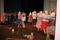 Fotografia: Nositelia tradícií-súťažná prehliadka SĽ-24.5.2015