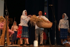 Fotografia: Nositelia tradícií-súťažná prehliadka SĽ-24.5.2015