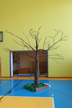 Fotografia: Evanjelizačný program pre birmovancov 25.4.2015