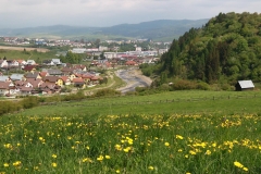 Fotografia: Kde sme v čase svojej mladosti kravy pásli - prvá prechádzka 17.5.2015