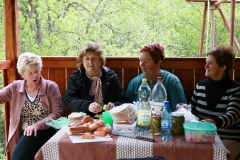 Fotografia: Kde sme v čase svojej mladosti kravy pásli - prvá prechádzka 17.5.2015