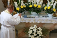 Fotografia: Odpustová slávnosť ku cti Panny Márie Karmelskej 19.7.2015