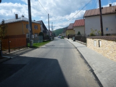 Fotografia: Chodník - vyšný koniec, od kapĺnky vpravo - finále - 29.4.2016
