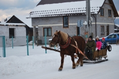 Fotografia: Stíhačky okolo Jakubianky II. -15.1.2017