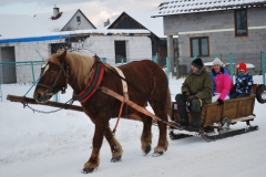 Fotografia: Stíhačky okolo Jakubianky II. -15.1.2017